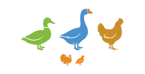 Illustration of various poultry like ducks, geese, and chickens in multiple colors