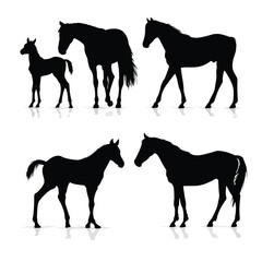 horse silhouettes vector
