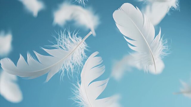 Floating white feathers gently drift through serene blue sky, capturing the essence of tranquility and lightness in soft focus imagery