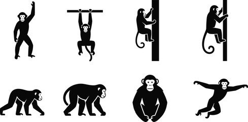Black silhouette monkey icons set showing climbing hanging walking sitting jumping poses isolated on white background vector illustration design elements © World_Of_Vector