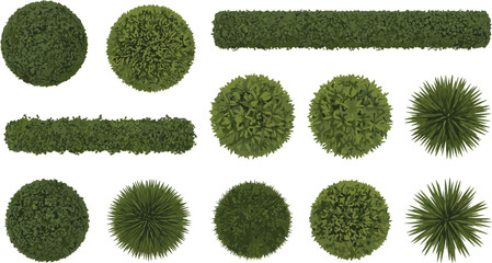 Top view garden shrubs and hedges vector set, landscaping bushes and ornamental plants collection for landscape design, park planning, and map illustrations © Sophia Creatives