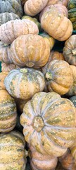 These are Asian pumpkins. They are popular in various dishes.