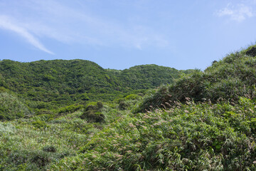 Obraz premium Green mountain scenery with bright blue sky