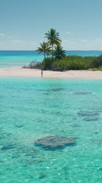 Aerial drone view of a small desert island with palm trees surrounded by crystal clear turquoise water. The perfect image for a tropical vacation getaway