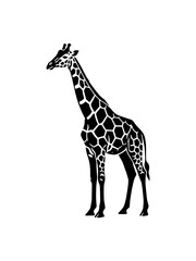 Naklejka premium A minimalist black and white graphic illustration of a giraffe. This high-contrast vector-style image is perfect for logos, tattoos, and educational wildlife materials.