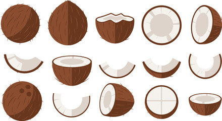 Coconut Illustration Vector Set with Whole Halved Sliced and Cracked Coconut Pieces for Tropical Food and Natural Ingredient Designs