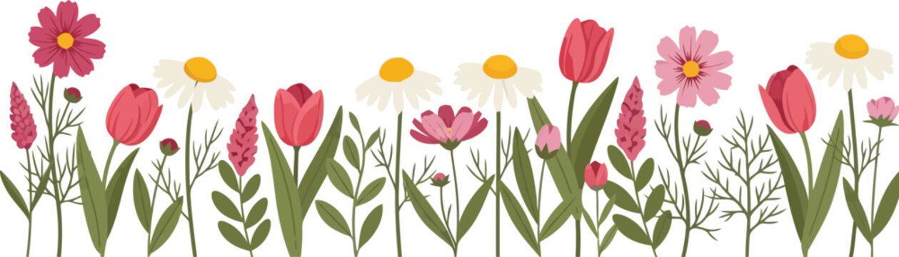 Spring wildflowers border vector clipart with tulips daisies and pink blossoms isolated on white