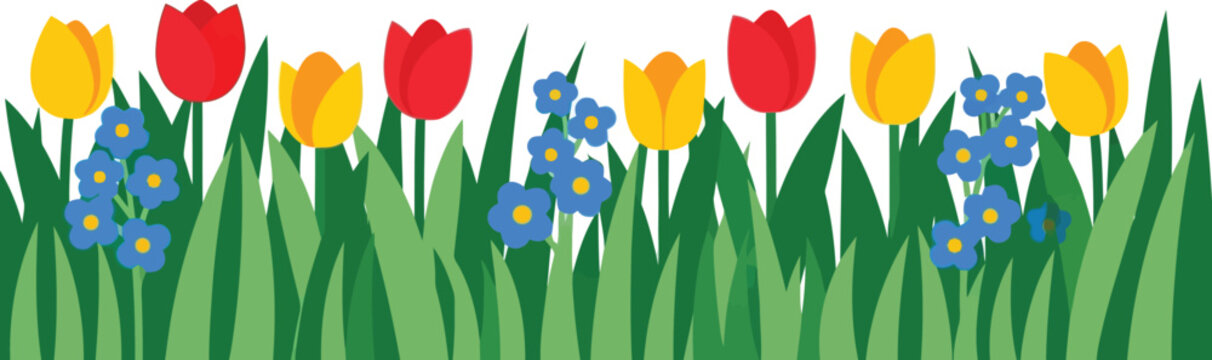 Spring tulip and forget-me-not flower border vector clipart for seasonal floral design