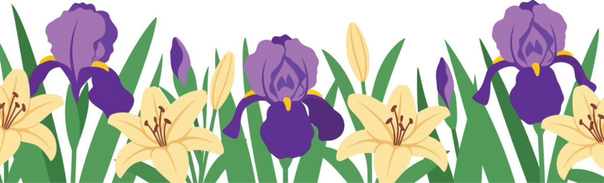 Spring iris and lily flowers border vector clipart, colorful floral seamless design illustration