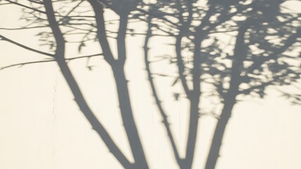 Natural tree branch shadows, sunlit wall texture, outdoor light play, organic design element