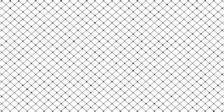 Barbwire silhouette, Fence wire mesh barbed wire , barbed wire fence on the border