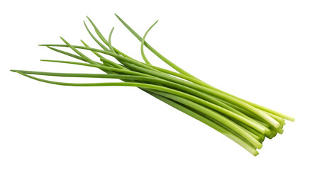 Fototapeta premium bunch of fresh green wild chives, isolated on white or transparent background. PNG