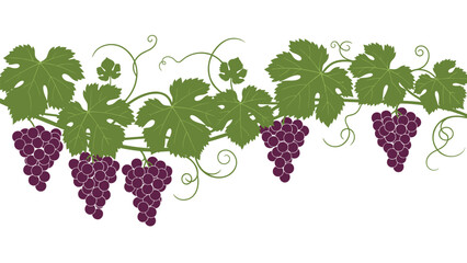 Fototapeta premium Horizontal decorative border of grapevine branches with lush green leaves and bunches of purple grapes for winery and harvest designs.