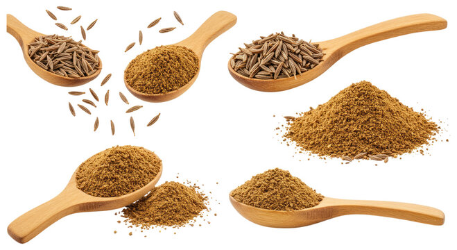Close-up assortment of whole cumin seeds and ground cumin powder displayed in wooden spoons and small piles on a transparent background