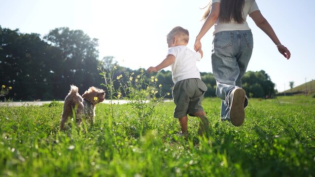 Woman, child and dog enjoying jogging in park. Child holding woman's hand while dog running ahead. Peaceful family moment in nature concept