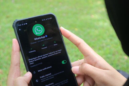 Pacitan, Indonesia - September 7, 2025 : Official WhatsApp Channel displayed on an Android smartphone, held by a woman.