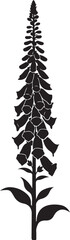 Foxglove flower silhouette illustration isolated on transparent background © Md. Habibur