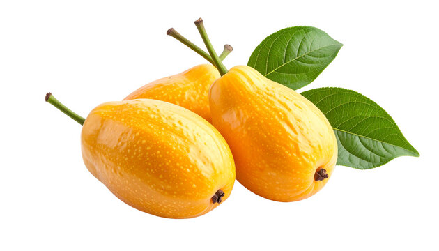Three ripe caj&aacute; fruits, also known as yellow mombin or hog plum, with green leaves and stems, isolated on a transparent background. Healthy tropical exotic fruit, rich in vitamins for fresh food.