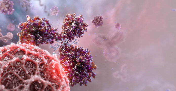 Monoclonal antibody binding viral surface: immune neutralization process in extracellular environment. Immunoglobulin (IgG) Y-shaped protein, molecular interaction. Immunotherapy, antiviral defense