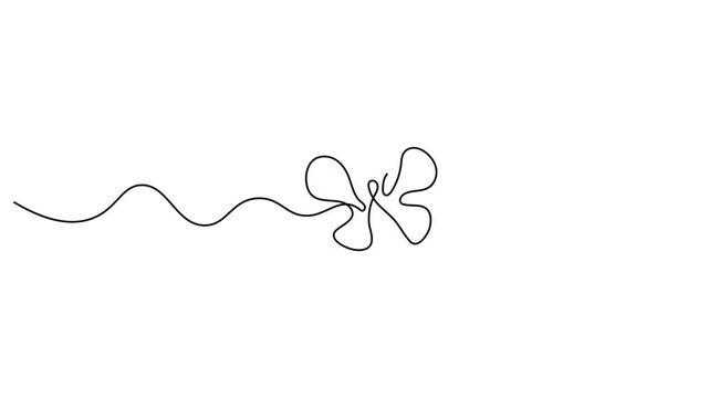 Continuous line butterfly art animation. Butterfly in One continuous line drawing animation
