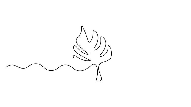 One line drawing vector palm leaf animation. Banana tree leaves line animation