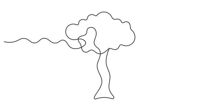 Tree plant doodle outline animation. Abstract tree in continuous line art drawing style. Continuous line drawing of a minimalist tree animation