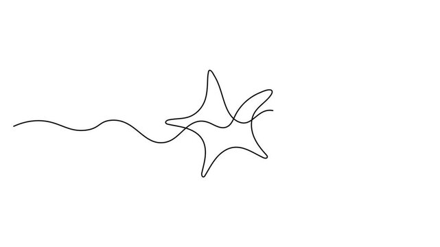 Hand draw doodle stars continuous line arts animation. Star icon line continuous drawing vector. Star icon line animation