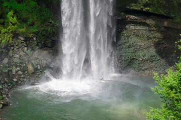 落差50mの自然美。圧倒的な迫力と森林浴で感じる、熊本最大級の癒やしスポット。
山都町五老ヶ滝
A natural beauty with a 50m drop. Experience the overwhelming power and forest bathing at this one of Kumamoto's most relaxing spots.
Gorogataki Falls, 