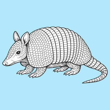 Armadillo Walking in Detailed Flat Line Art Style Vector Illustration