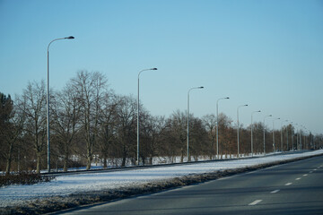 Empty winter road with bare trees