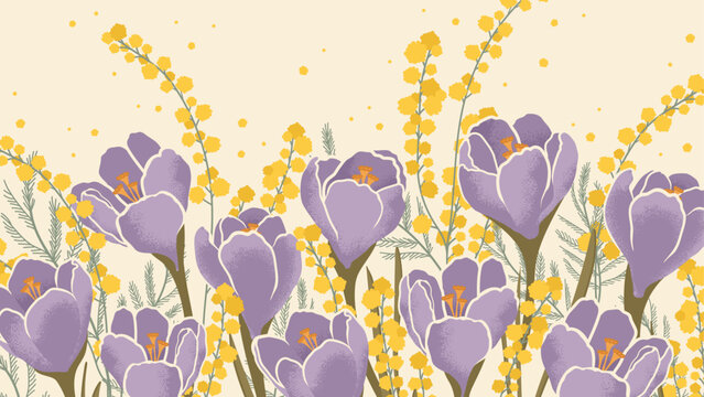 Spring banner with purple blooming crocuses and mimosa branches. Hand draw textured flowers to Design greeting cards, posters for Mother's Day, Women's Day, and seasonal spring backgrounds.