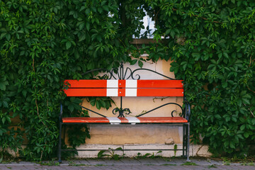 Vibrant red bench with ornate black metalwork sits against a wall, almost enveloped by dense, verdant ivy. The contrast between the bold colour of the bench and the natural greenery creates a tranquil