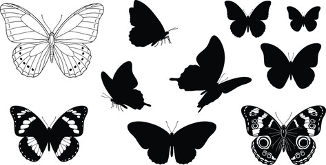 Fototapeta premium Butterfly silhouette collection with detailed wings and flying insect shapes, black and white nature vector set for design elements