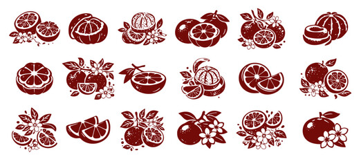 Chinese paper cut style orange citrus fruit icon set isolated on white background