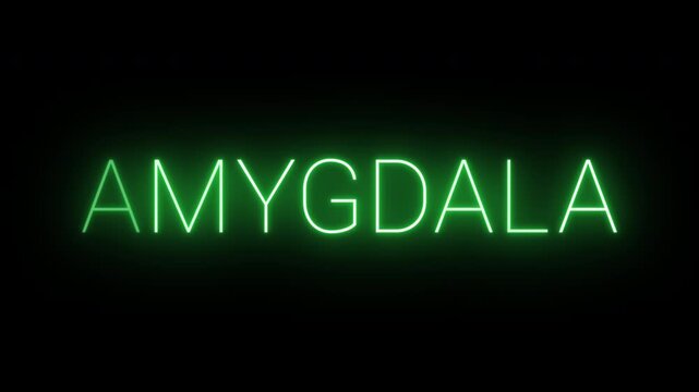 Flickering neon green glowing amygdala sign animated black background.