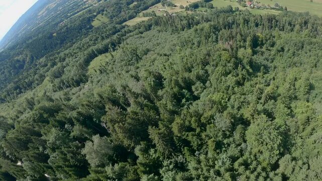 Drone FPV au dessus de For&ecirc;t verte