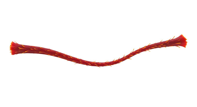 3D saffron thread deep crimson delicate strand