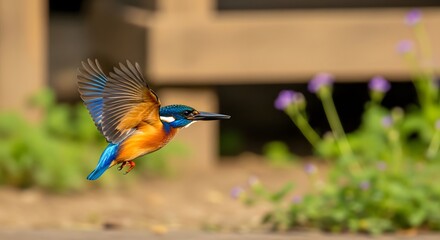 A colorful kingfisher takes flight over a blurred natural landscape.