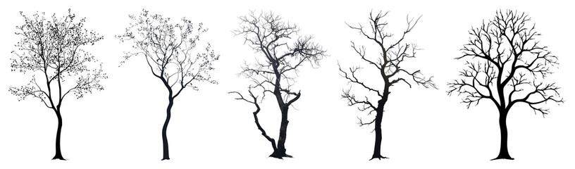 Obraz premium PNG Silhouettes of diverse tree shapes on transparent background