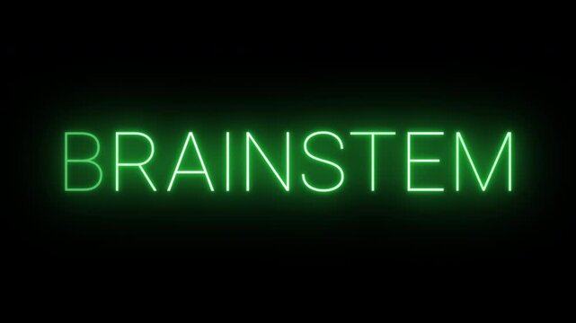 Flickering neon green glowing brainstem sign animated black background.