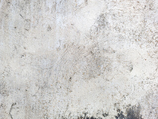 Obraz premium Light Grey Weathered Wall Texture with Subtle Moss Stains and Fine Grit