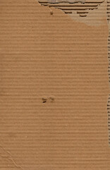 Vertical background of scanned torn cardboard texture.