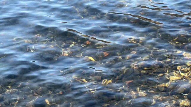 clear lake water with visible bed of rocks and sunlight shining through