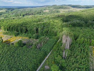 Landschaft bei Hoechstenbach im Westerwald