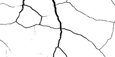 A black and white texture showing a detailed pattern of cracks and fissures on a white surface