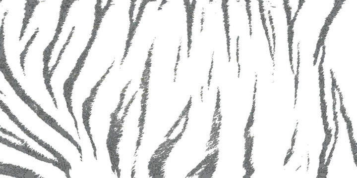 Monochrome tiger stripes texture with fuzzy edges on a white background, close-up view