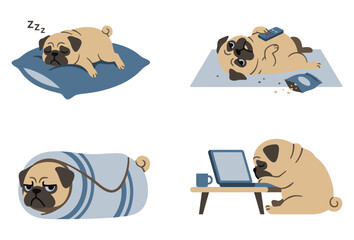 Cute Lazy Pug Dog Lifestyle Set Sleeping Relaxing Watching Television Wrapped In Blanket Working On Laptop Cartoon flat vector illustration