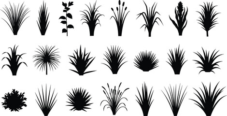 Collection of various grass and plant silhouettes in and nature leaves © Nafij World