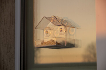 the house in the window