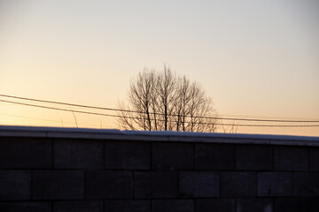 sunset over the fence